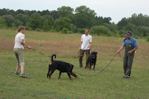 Training in Estonia 6/2007